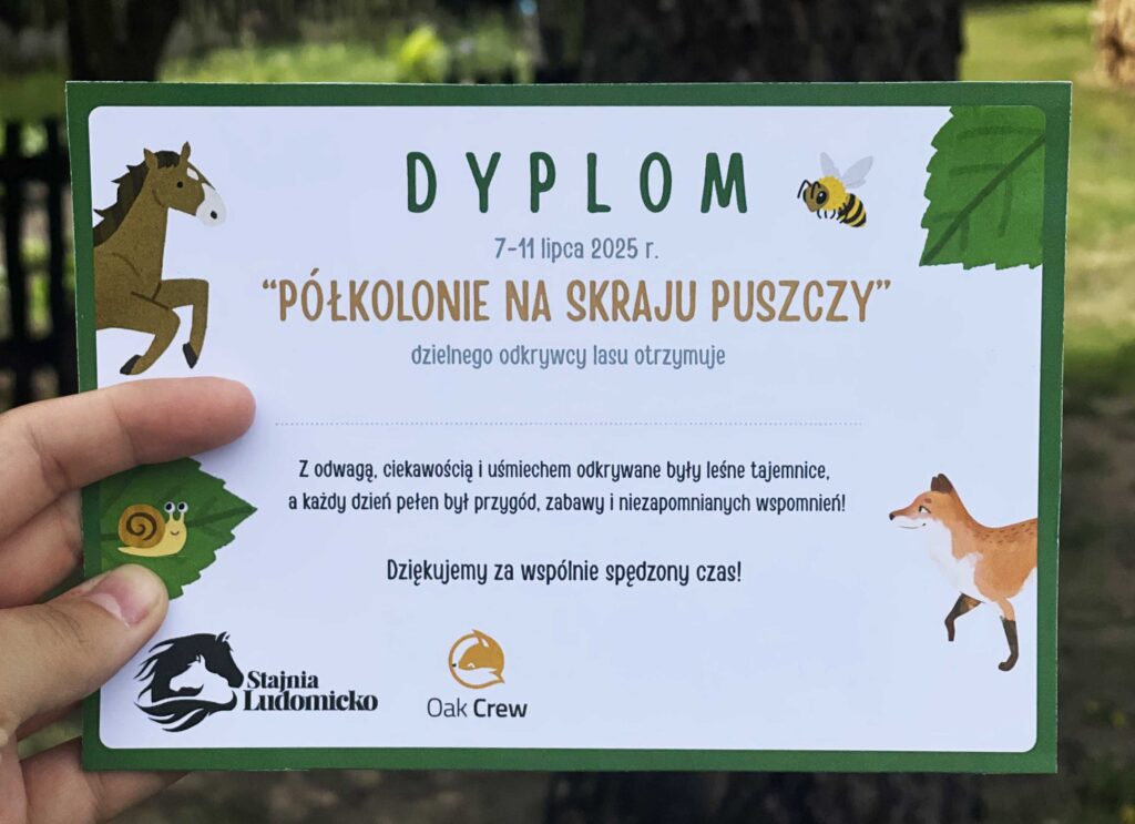 dyplom1